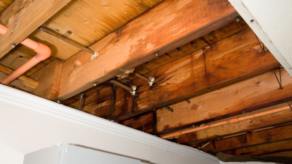 What to Do When Your Roof Starts Leaking