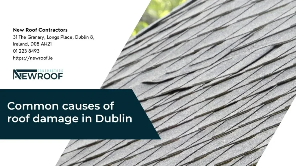 Common causes of roof damage in Dublin