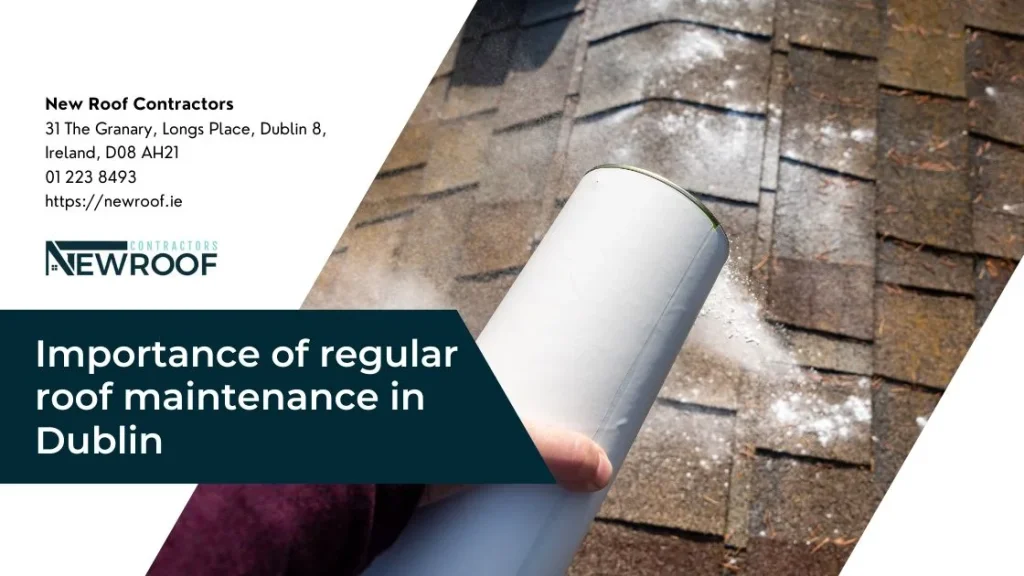 Importance of regular roof maintenance in Dublin