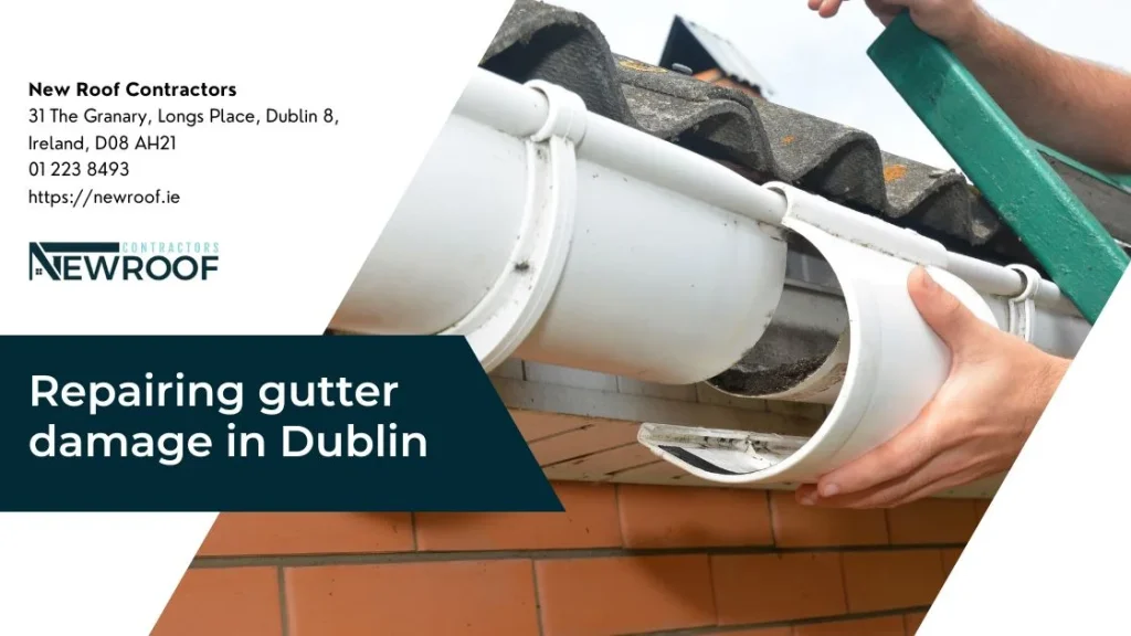 Repairing gutter damage in Dublin