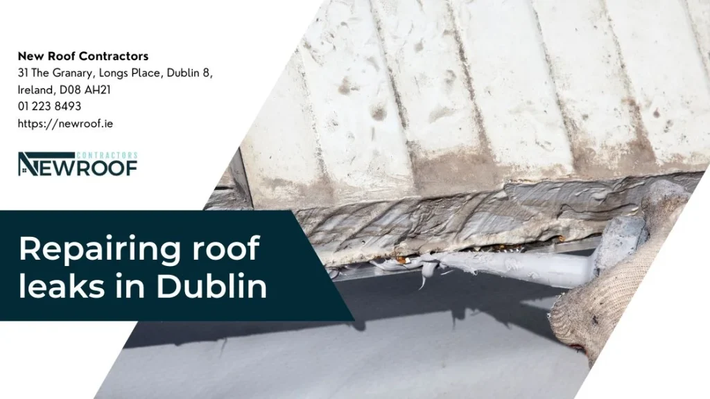 Repairing roof leaks in Dublin